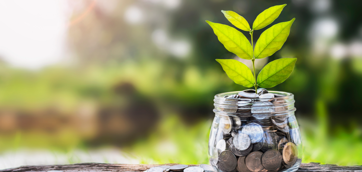 fundos sustentáveis; ESG;